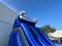 Dolphin Water Slide 4 1704317150 Dolphin Water Slide 20ft DL