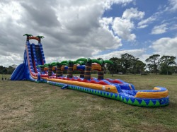 color slide 1 1704377246 Tropical Plunge Water Slide 40ft SL