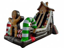 Gingerbread Slide 28ft DL