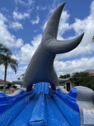 great white 2 1704309785 JAWS! Water Slide 27ft DL