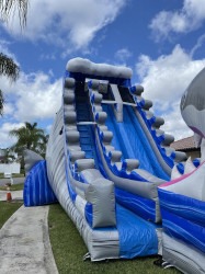 great white4 1704309783 JAWS! Water Slide 27ft DL