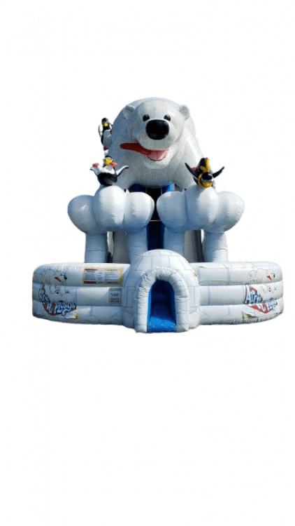 Polar Bear Slide