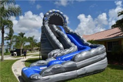 Wild Rapids 25ft DL