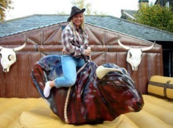 product 6376E75A03F749F0BAFCD0365EE69DF6201 1704732625 Mechanical Bull