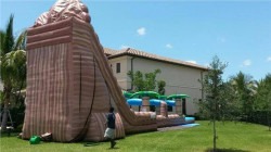 Mudslide Water Slide 30ft DL