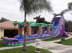 Purple Paradise Water Slide 30ft SL