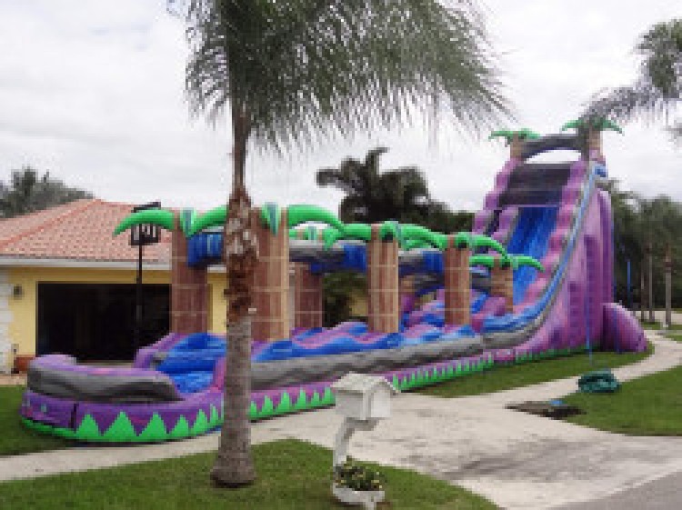 Purple Paradise Water Slide 30ft SL