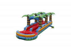 Tropical Rush Slip N Slide w/ Pool DL