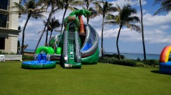 coconut falls3 1720002431 Coconut Falls Water Slide 27ft SL